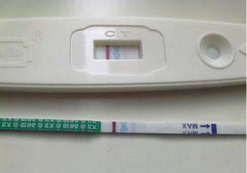 关于靠谱借卵代怀多少费用